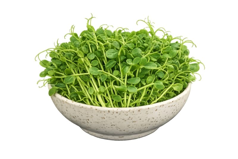 Pea Shoots