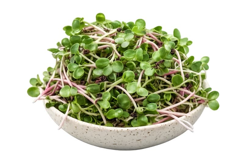 Radish